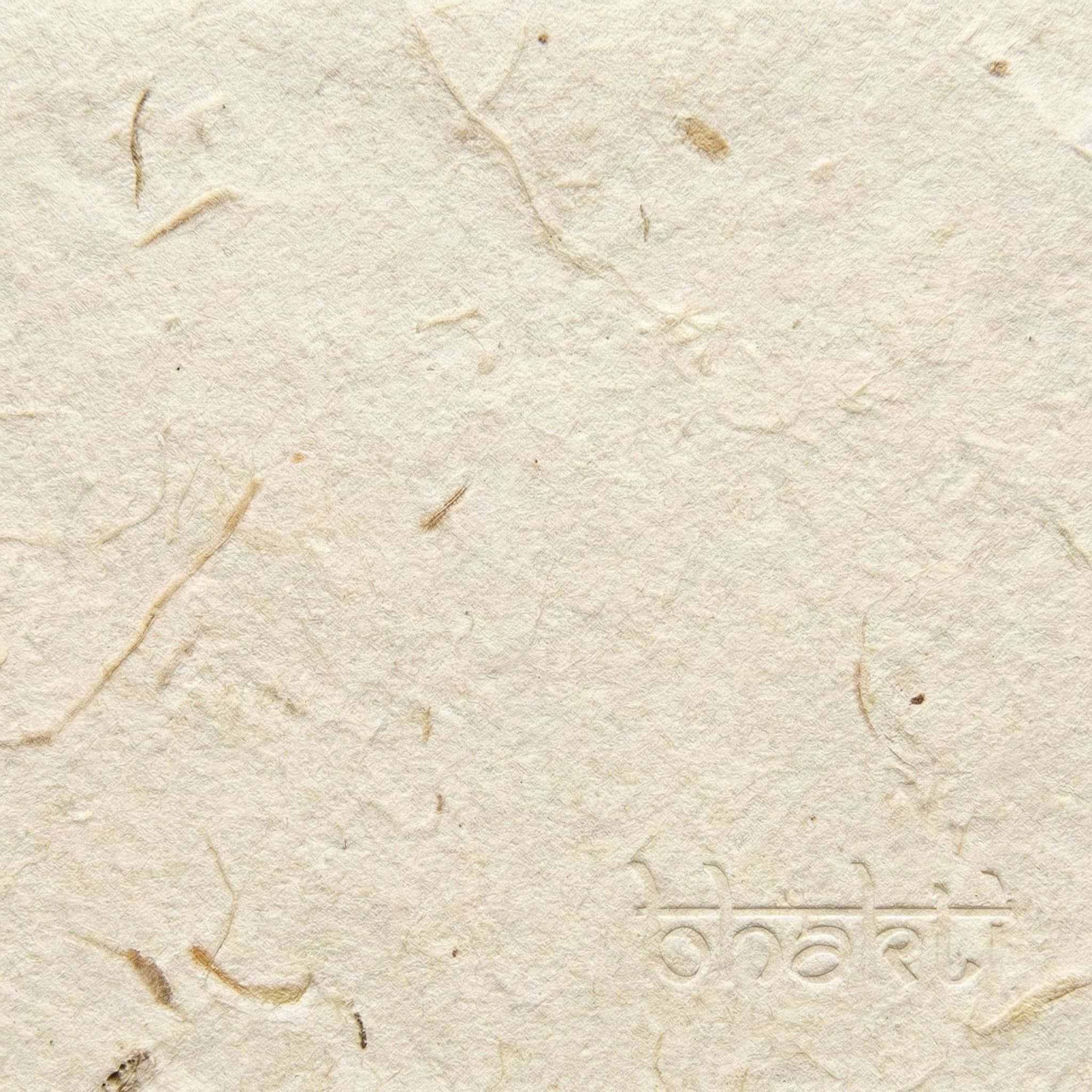 Premium Paper Texture